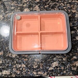 Russbe Gray and Pink Divided Lunch Container